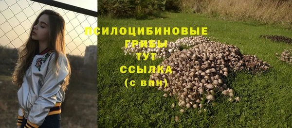 Альфа ПВП Волоколамск