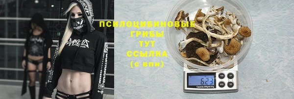 Альфа ПВП Волоколамск