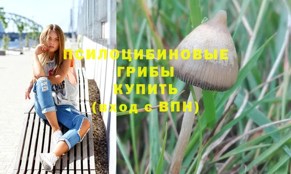 Альфа ПВП Волоколамск