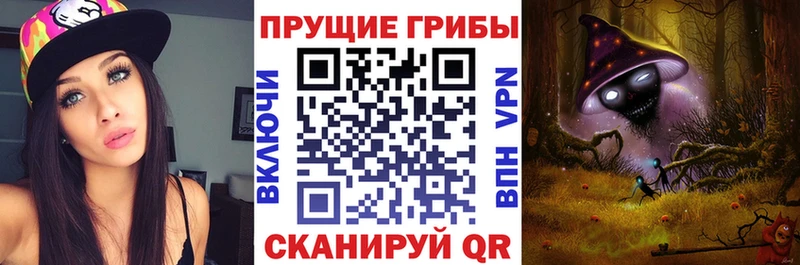 Псилоцибиновые грибы GOLDEN TEACHER Брюховецкая
